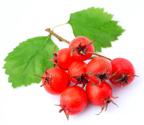Hawthorn în Tonerin